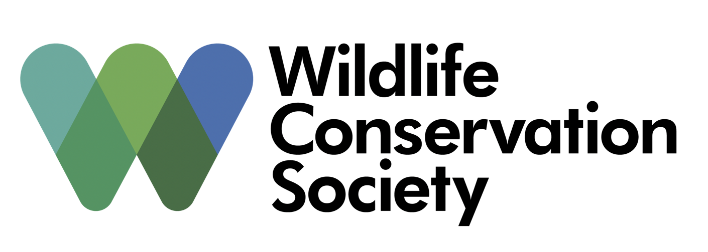 WCS_LOGOTYPE